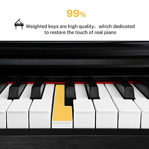 Donner DDP100 88Key Weighted Action Digital Piano for Beginner Bundle