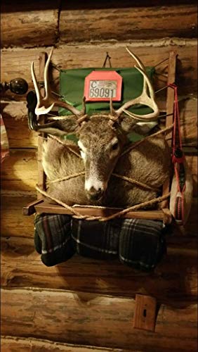 Vintage Pack Frame For Deer Taxidermy Mounts From Whitetail Woodcrafters #TOP1