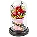 Produktbild Forever Flowers Echte Ewige Rosen  Kylin Glory konservierte Blumen Geschenk mit LED Stimmungslichter für Valentinstag Geburtstag Jahrestag (Grande Red)