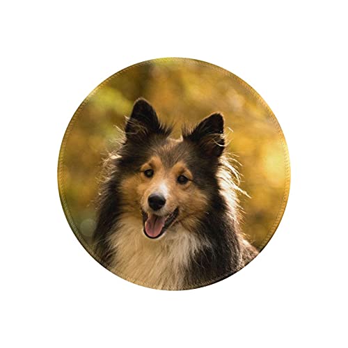 }EXpbh ی^  H t  h ~ S Q[~O}EXpbh m[gp\R PC Eh}EXpbh fXN}bg ϋvǂ ItBXp rWlXp ƒp Q[p ~` 20cm