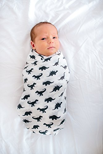 Copper Pearl Large Premium Knit Baby Swaddle Receiving Blanket Dinos Wild #TOP1