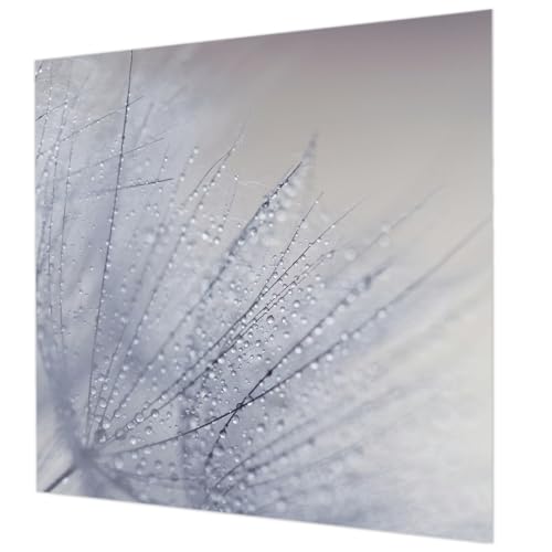 Papier peint pissenlit 250x250 pour masquer les murs ternes - 2