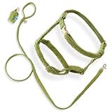 THE LICKER STORE WLK1003B-4SET Teddy Large Bouclé Adjustable H Harness and Leash Walk Set with Poop Bag Pouch, Citron