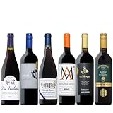 ヴィネクシオ 全て金賞受賞 フランス スペインなどの各コク旨産地より厳選 赤ワイン 6本 × 750ml 飲み比べ セット