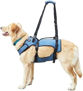 Coodeo Dog Lift Harness, Support & Recovery Sling, Pet Rehabilitation Lifts Vest Adjustable Breathable Straps for Old, Disabled, Joint Injuries, Arthritis, Paralysis Dogs Walk (Small)