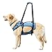 Hund und günstig Kaufen-Coodeo Hunde-Hebegeschirr, Stütz- und Erholungsschlinge, Haustier-Rehabilitations-Hebeweste, verstellbare, atmungsaktive Gurte für alte, behinderte (XL)