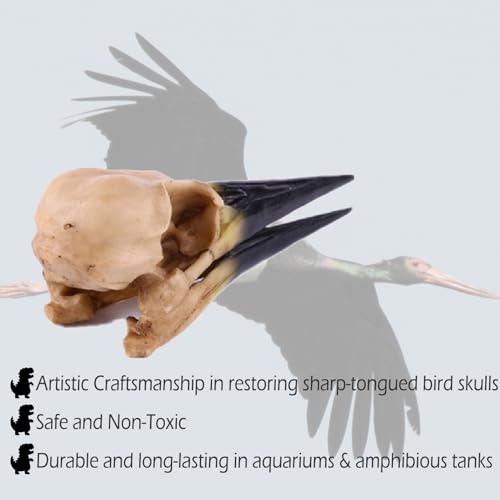 Image of Fish Cave Hideout Ornament Decor for Terrarium Dinosaur Animal Skull Aquarium Large Decorations Betta Tarantula Reptile Snake Decor Bones Halloween