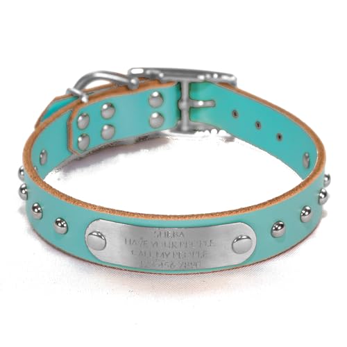 Handmade Studded Bridle Leather Dog Collar, Silver Tone Hardware and Stainless Steel Nameplate (Robin's Egg Blue)