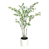 RAKU フェイクグリーン 人工観葉樹 高さ約160cm 観葉植物 室内用 造花 シンプル オフィス インテリア お祝い 父の日(ドウダンツツジ)
