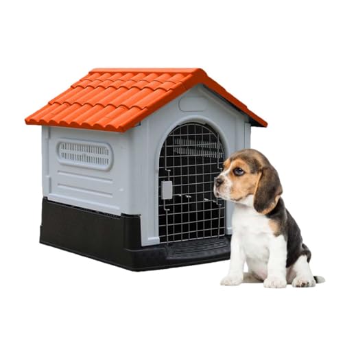 haoyunjianjiak  hAt ybgnEX vX`bN ^p Op ʋC gȒP (IWiS̖tj,LTCY-452B)