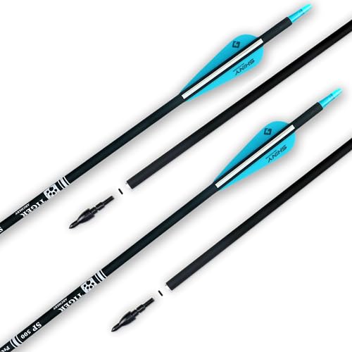 image for TIGER ARCHERY 30Inch Carbon Arrow Practice Hunting Arrows with Removab