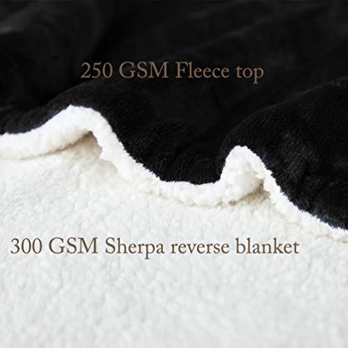 Lbro2M Sherpa Fleece Bed Blanket Queen Size,Super Soft Fuzzy Plush Warm Cozy Fluffy Microfiber Couch Throw Velvet Double Reversible Luxurious Blankets (Black, Queen(90X90 Inches)) #TOP3