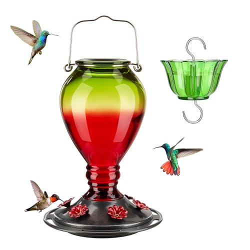 Kingsyard Glass Hummingbird Feeder - 6 Bee Guard Feeding Ports & Ant Moat, 24 oz Leak Proof, Wild Bird Feeder for Outdoors Hanging, Easy to Clean & Refill, Garden Yard Decor, Red & Green