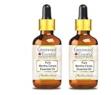 Greenwood Essential