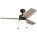 Prominence Home 51015 Reston Farmhouse Ventilador de techo, 42 pulgadas, bronce