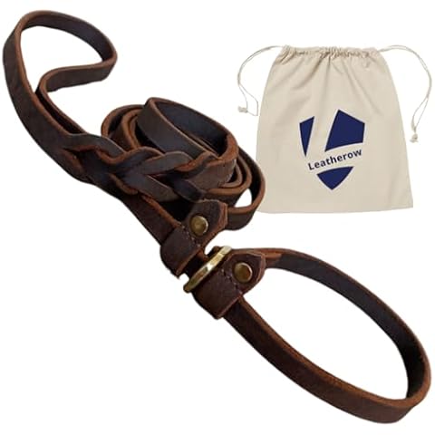 Premium Leather Dog Training Slip Leash, 1/2 Inch Wide, Heavy Duty Lead, Adjustable with Slider, Soft Braided, for Small to Large Dogs (Brown, 5 ft) Cover