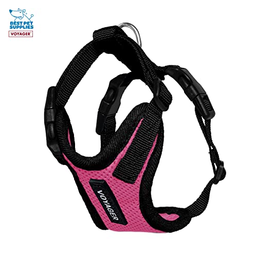 Image of Best Pet Supplies Voyager Step-in Lock Pet Harness w Reflective Pet Leash Combo Set with Neoprene Handle 5ft - Supports Small, Medium and Large Breed Puppies /Cats - Fuchsia /Black Trim, XXXS
