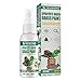 Produktbild QYEW Rasenfarbe Grün Spray | Pflanzenbegrünungsmittel Blattdünger,Grüne Rasen-Sprühfarbe für Rasen, Rasen, Grasfutter für grünen Rasen, Dünger für Rasen
