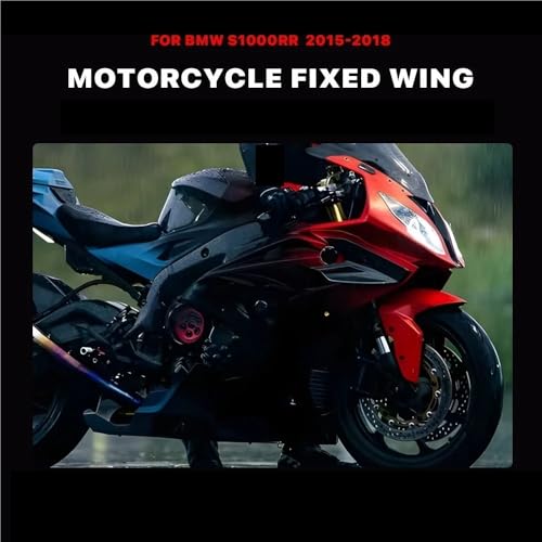 Aileron fixe S1000RR (2015-2018) pour optimiser l'aérodynamisme