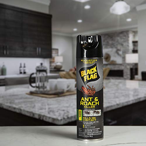 Black Flag Ant And Roach Killer 17.5 Ounces, Aerosol Spray, Spring Fresh Scent #TOP5