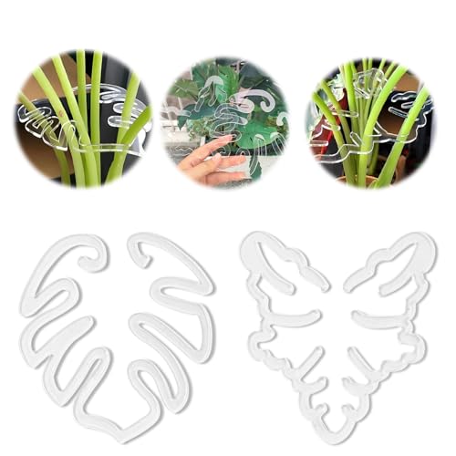Monstera Plant Support, 2 PCS Soporte Plantas, Soporte for Plantas Monstera, Tutor Monstera, Soporte de Retención de Plantas, Abrazadera de Bambú Reutilizable, para Plantas de Interior y Exterior