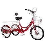 Triciclo eléctrico de 20 Pulgadas Bicicleta de Crucero de 3 Ruedas con Cesta y batería extraíble, Triciclo eléctrico...
