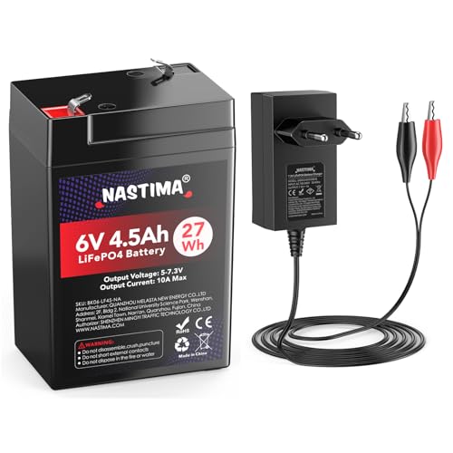 Batterie LiFePO4 6V 4,5Ah avec chargeur inclus pour équipement cyclique