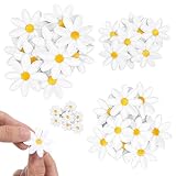 YBEATY 80 Stück Gänseblümchen Patches Blumen AufnäHer Zum AufbüGeln SüßE Kleidung Bestickte AufnäHer Zum AufnäHen WeißE GäNseblüMchen Diy-ZubehöR Dekoration FüR Taschen HüTe RucksäCke Kleidung