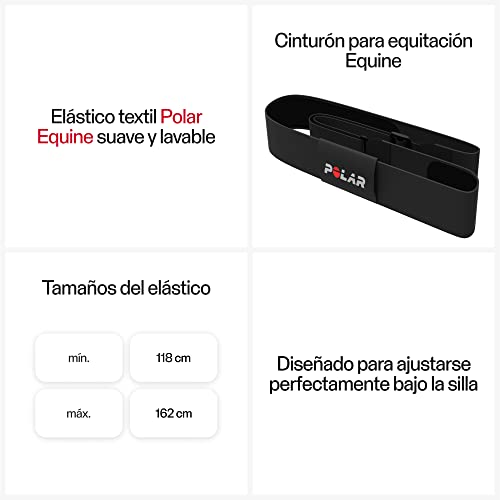 Polar Elástico H10 Equine para rutas a caballo y monitorización cardiovascular en la naturaleza 5