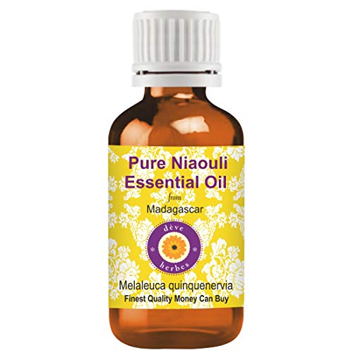 Huile essentielle de Niaouli contre les imperfections cutanées et les voies respiratoires encombrées