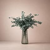 FLORES SOLIDARIAS - Flores Preservadas - Ramos de Flores Preservadas Naturales - Eucalipto Preservado - Regalo día de la Madre - Regalo Aniversario, Regalos San Valentín - Envio 24 h