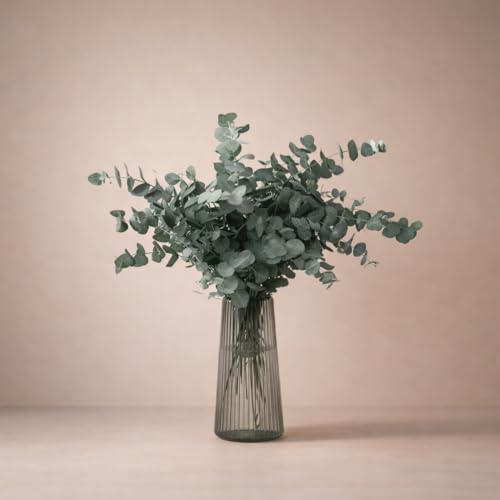 FLORES SOLIDARIAS   Flores Preservadas   Ramos de Flores Preservadas Naturales   Eucalipto Preservado   Regalo día de la Madre   Regalo Aniversario, Regalos San Valentín   Envio 24 h