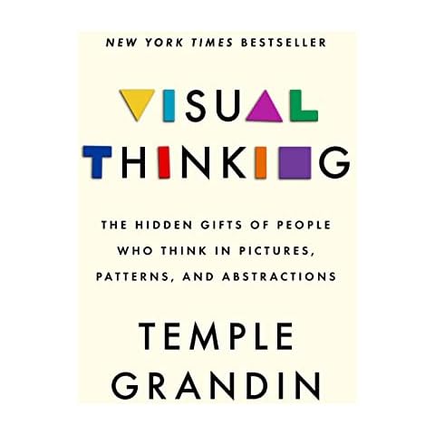 Visual Thinking: The Hidden Gifts of People Who Think in Pictures, Patterns, and Abstractions Cover