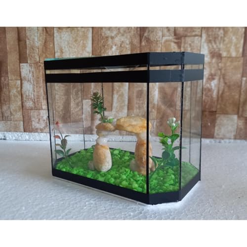 Aquario Beteira Oval Para Peixe Betta 3,0L (até a borda) Decorado Ornamentação Exclusiva