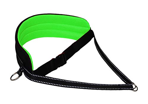 Bauchgurt für Canicross Dogtrekking Ski-Jöring Touren Hundesport Schwarz Neongrün Cover
