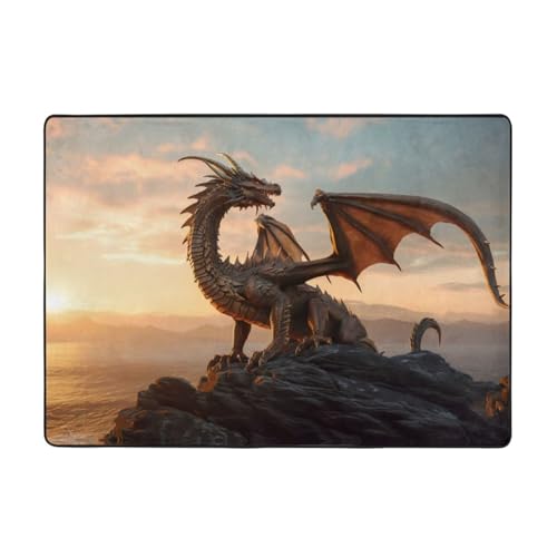 Tapis de salon lavable grand format motif dragon coucher de soleil ciel - 8
