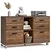 Halitaa Lateral File Cabinet with Lock, Large Mobile Storage Filing Cabinet with 6 Drawers Fits Files Letter/A4 Size, Rolling Printer Stand with Open Storage Adjustable Shelf for Home Office, Brown