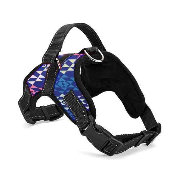 The Pets Popular Star Body Belt with Rope Fully Adjustable and Reflective Harness for Dogs (X-Large, Blue Print) (B0CTHTBF8G) Amazon Price History, Amazon Price Tracker