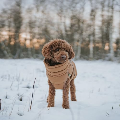 HUNTER Hundemantel Paxson, Farbe: taubenblau, stylischer Puffermantel, wasserabweisend, reflektierende Details, idealer Sitz, warme Wattierung, maschinenwaschbar, Größe: 55