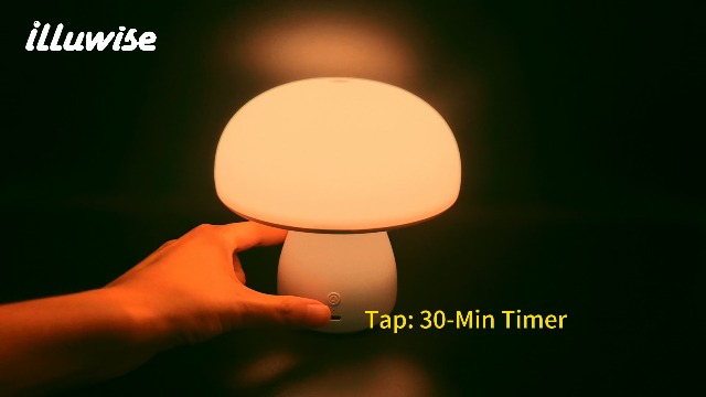 Image of Red Light Therapy Lamp, Dimmable Red Night Light for Bedroom Sleep