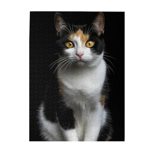 ؐs[X 500s[X 킢CR2 WO\[pY lp eqpY qFBւ̃v[gɂł