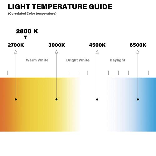 Malibu Georgetown Collection Low Voltage Led Tiki Torch - Lantern Combination Led Low Voltage Landscape Lighting 8401-5530-01 #TOP4