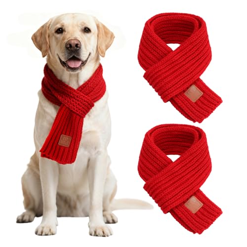 BWOGUE 2s[X jbg  NX}X XJ[t & o_i  fUC ^/^ - ~ g zf[ ybg RX`[ ANZT[ (bh)