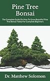 bonsai pino silvestre  Pine Tree Bonsai: The Complete Guide On How To Grow Beautiful Pine Tree Bonsai Today For Complete Beginners