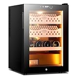 Armadietto Sigari Elettrico 50 Litri,Raffreddamento Dual-Core CigarWine
