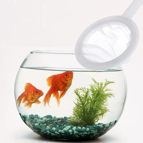 Niuhong 2 Pcs Mini Feinmaschig Aquarium Fischfangnetze Mit Kunststoffgriff Garnelen-Trennnetz Fischnetz Shrimp Sauber Netzsieb Nylon Aquarien Artemia Sieb Kleine Fischernetz Aquariensieb (A)