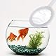 Niuhong 2 Pcs Mini Feinmaschig Aquarium Fischfangnetze Mit Kunststoffgriff Garnelen-Trennnetz Fischnetz Shrimp Sauber Netzsieb Nylon Aquarien Artemia Sieb Kleine Fischernetz Aquariensieb (A)