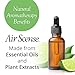 Air Scense Air Freshener Deodorizer Room Spray for Bathroom & Home, Essential Oils, Natural Lime - 7 fl oz (4-Pack)