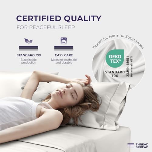 Image of THREAD SPREAD 100% Egyptian Cotton Pillow Cases Queen Size Set of 2 - Luxury 2000 Series Queen Pillow Cases (21 inch x 32 inch, Light Grey), Soft Cooling Envelope Closure Hotel Egyptian Cotton Pillowcases