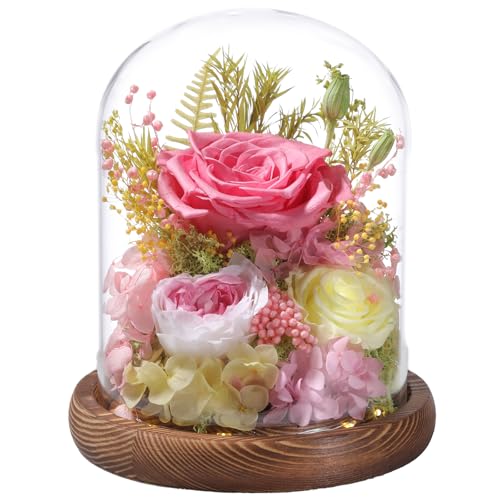 LOVENFOLD Preserved Flowers Dome with LED Light